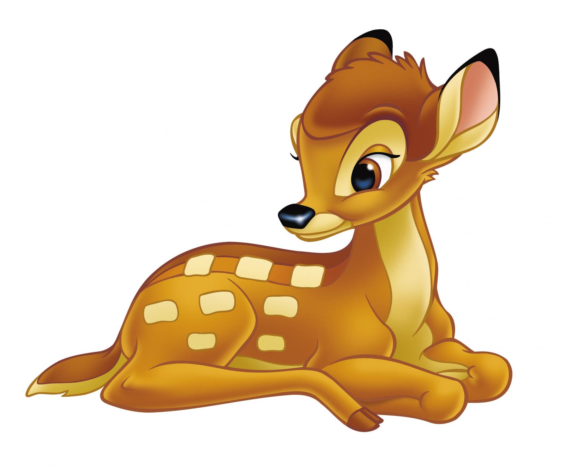 Poid bambi